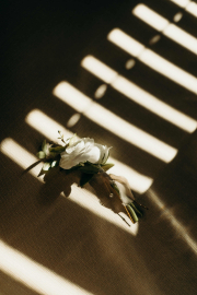 MemoryBox-Cabo-Destination-Wedding-11