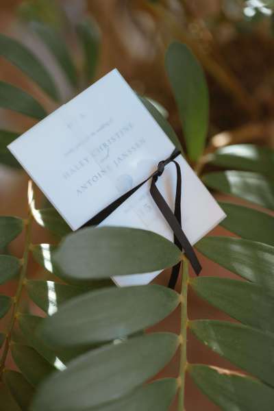 Los_Cabos_Casa_Mariposa_Wedding-003