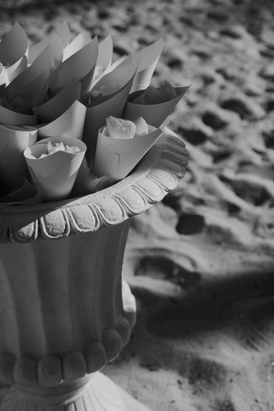 Los_Cabos_Casa_Mariposa_Wedding-091