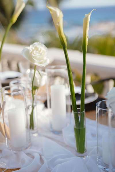 Los_Cabos_Casa_Mariposa_Wedding-103