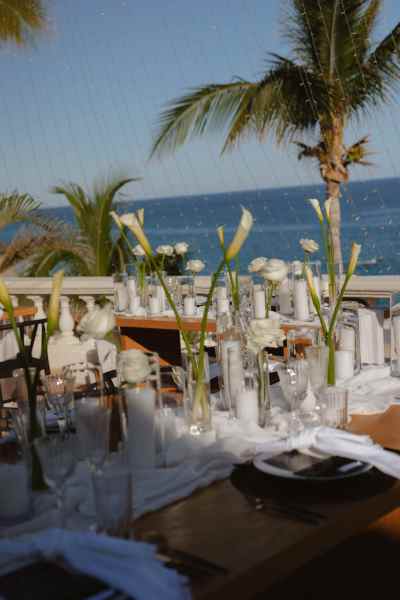 Los_Cabos_Casa_Mariposa_Wedding-110