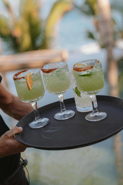 Los_Cabos_Casa_Mariposa_Wedding-149