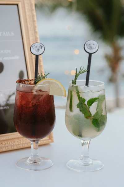 Los_Cabos_Casa_Mariposa_Wedding-158