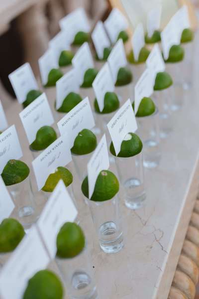 Los_Cabos_Casa_Mariposa_Wedding-161