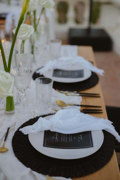 Los_Cabos_Casa_Mariposa_Wedding-165