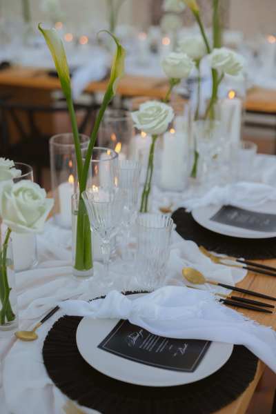 Los_Cabos_Casa_Mariposa_Wedding-166