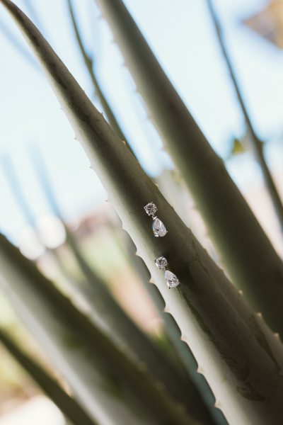 flora-farms-wedding-los-cabos-memorybox-009