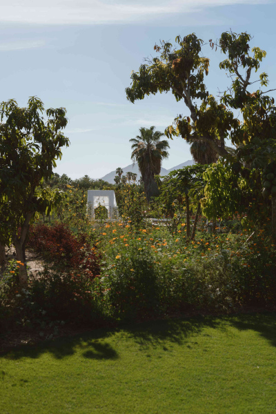 flora-farms-wedding-los-cabos-memorybox-086