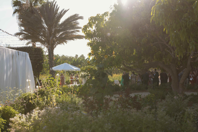 flora-farms-wedding-los-cabos-memorybox-110