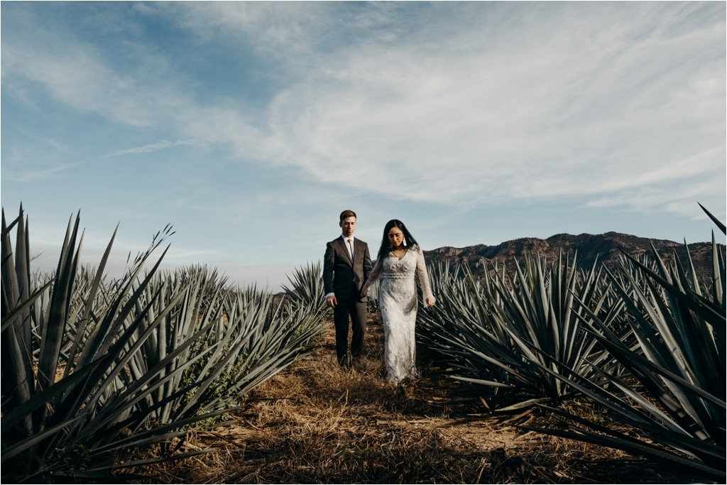 Guadalajara Agave Fields session