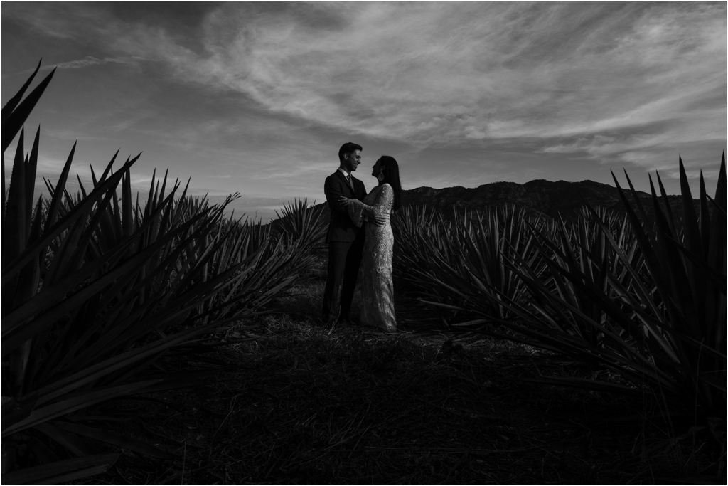 Guadalajara Agave Fields session