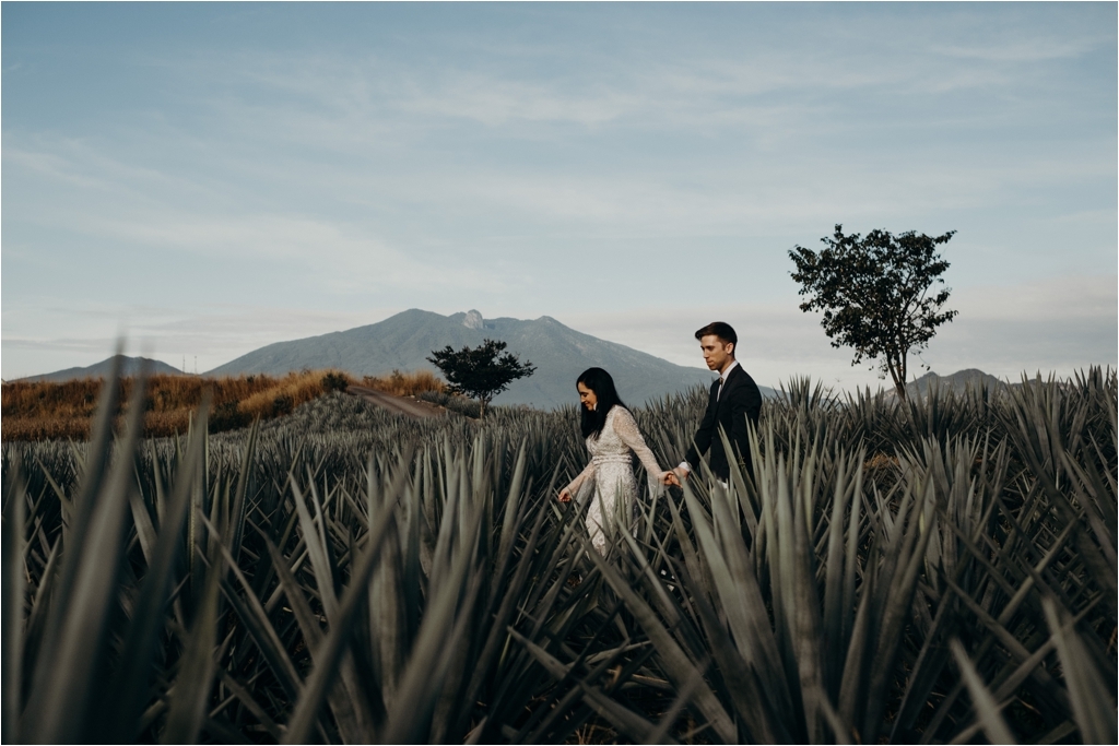 Guadalajara Agave Fields session