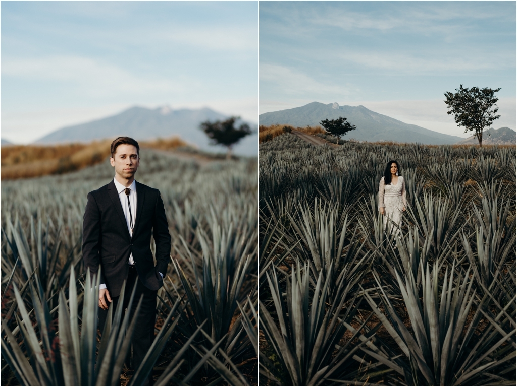 Guadalajara Agave Fields session