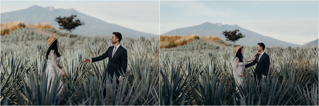 Guadalajara Agave Fields session