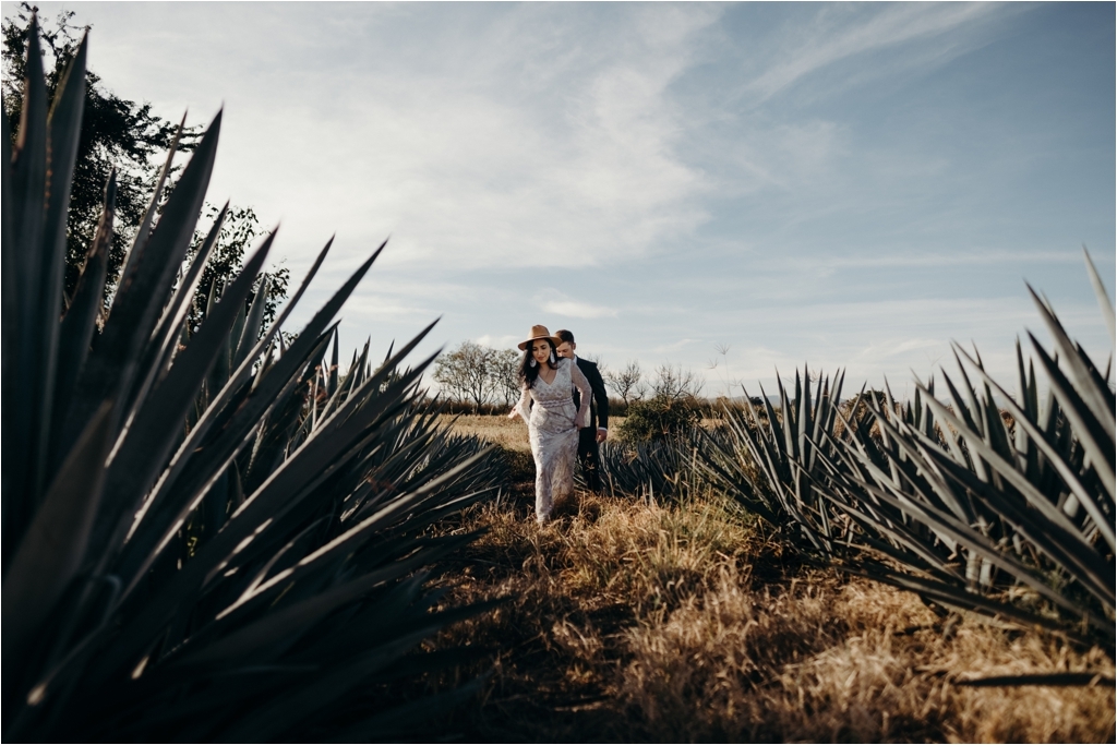 Guadalajara Agave Fields session