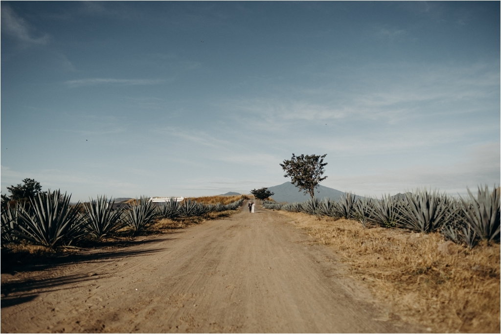 Guadalajara Agave Fields session