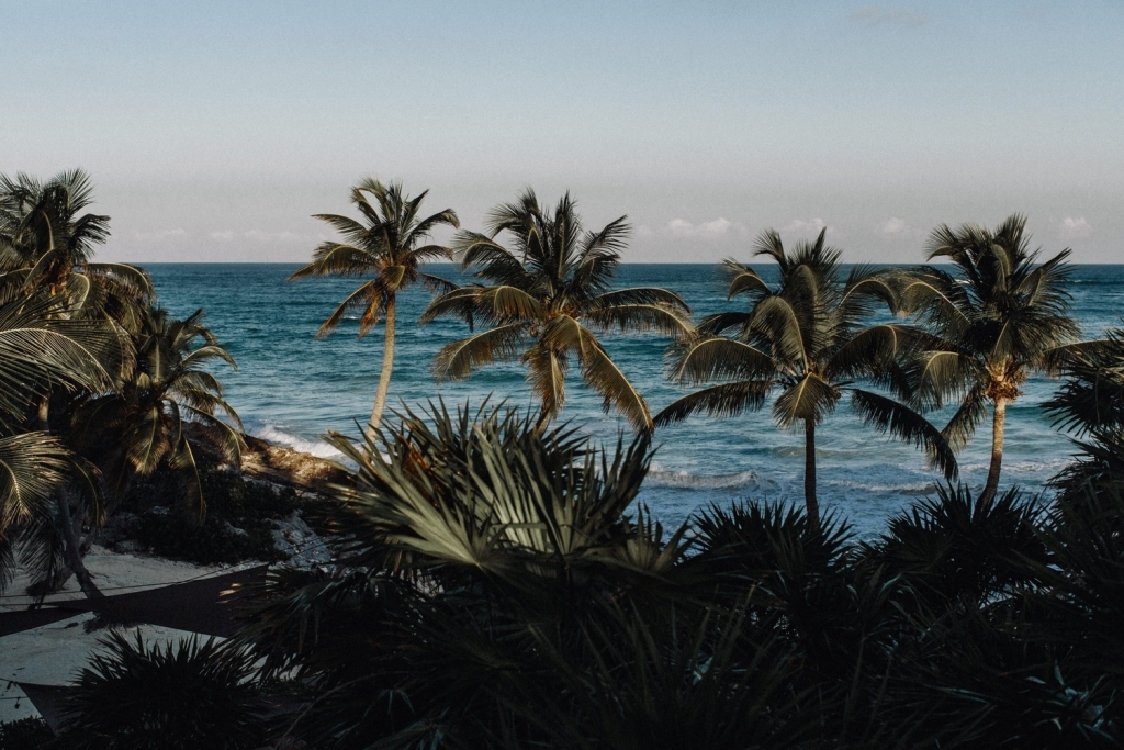habitas tulum wedding portraits