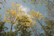 MemoryBox-Najil-Chak-Tulum-002