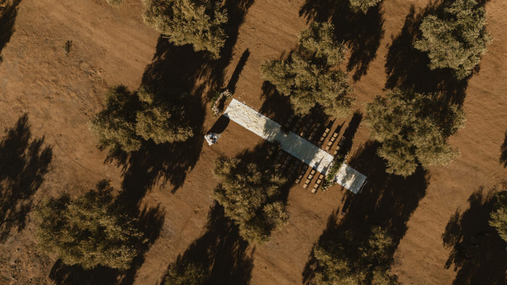 Almazara Rancho Olivares Valle de Guadalupe