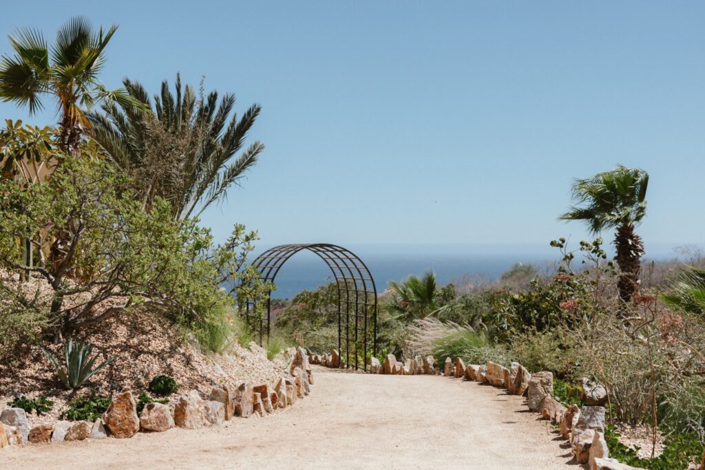 Amara Baja Los Cabos Venue